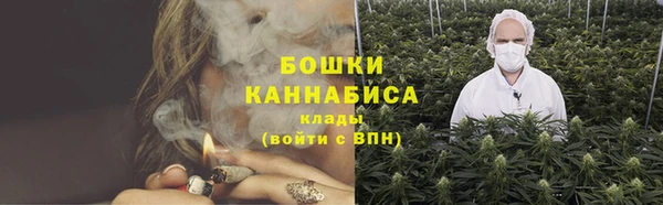 ГАЛЛЮЦИНОГЕННЫЕ ГРИБЫ Арсеньев