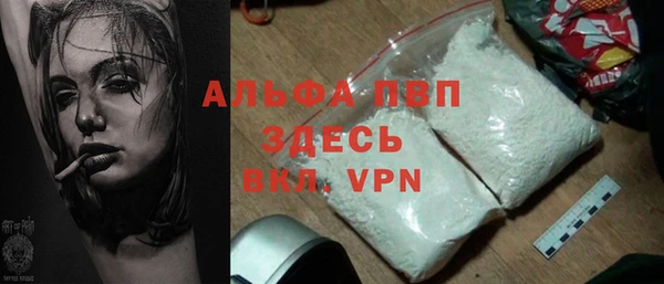 гашик Кодинск