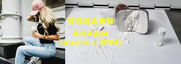 крисы Козельск