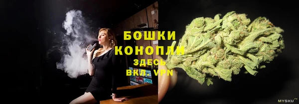 крисы Козельск