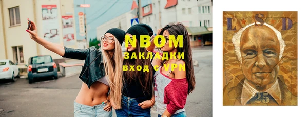 гашик Козловка