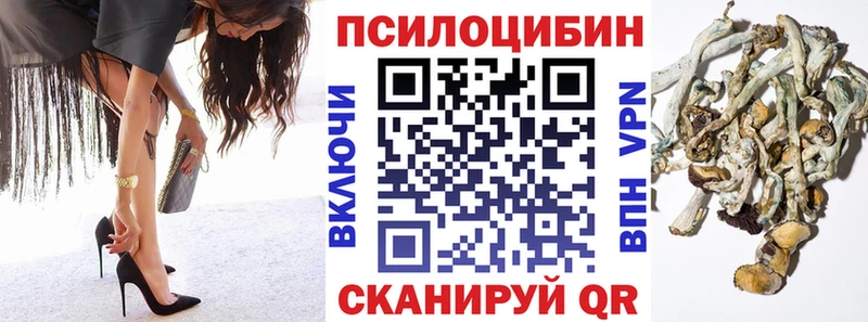 Купить закладки  Ардатов  Галлюциногенные грибы Psilocybe 